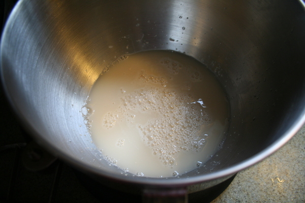 Mix Yeast in Warm Water